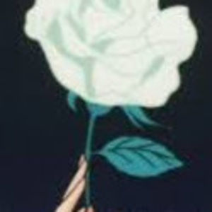 Meet your Posher, Hope